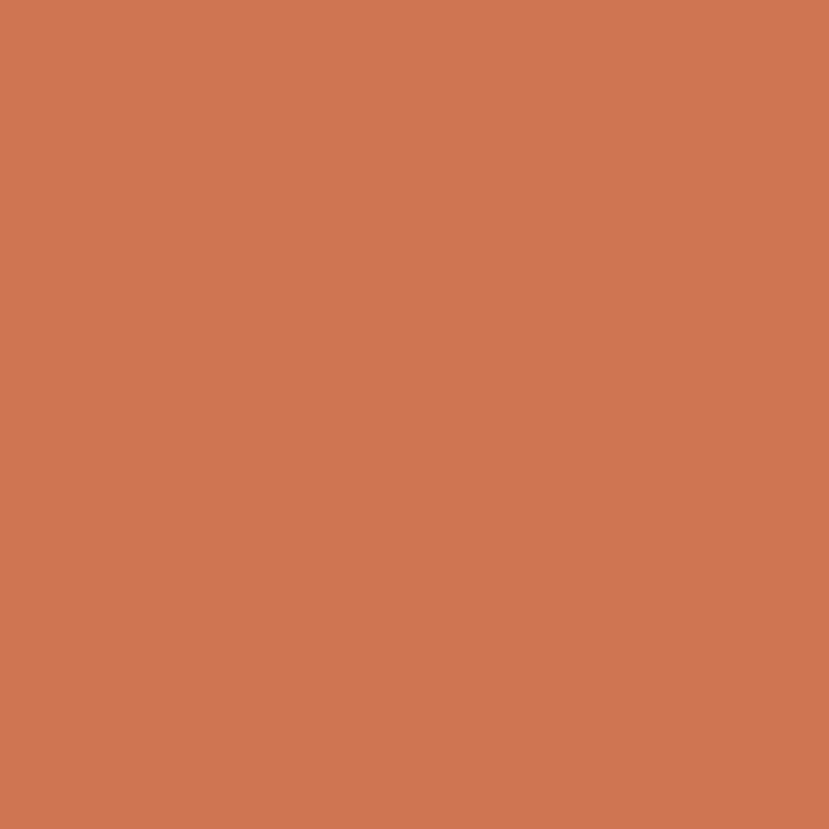 Pixel41 03 Coral
