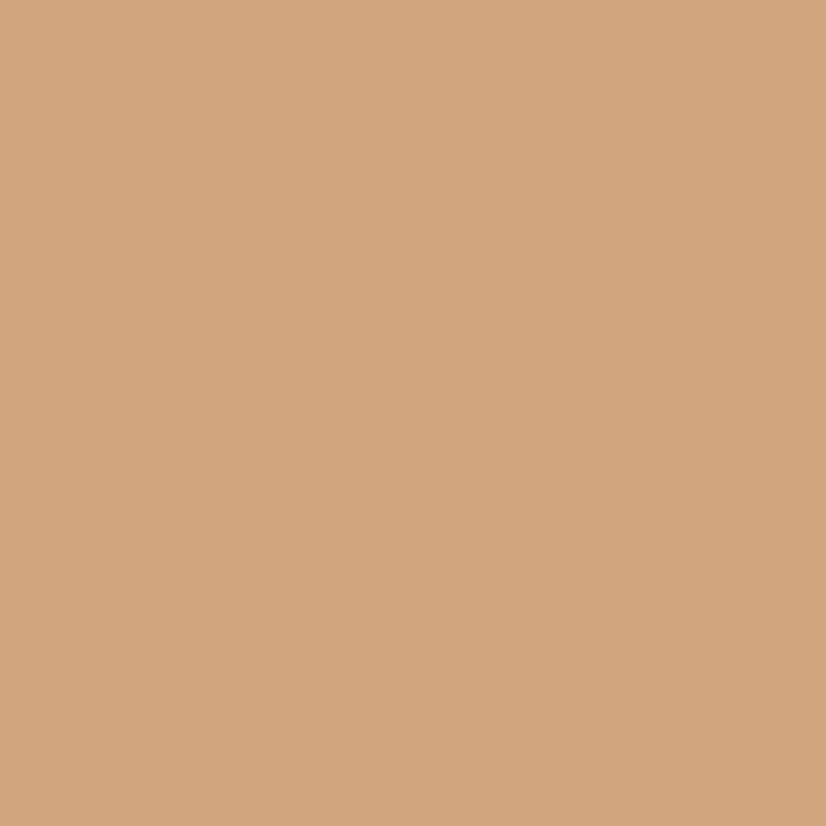 Pixel41 12 Terra