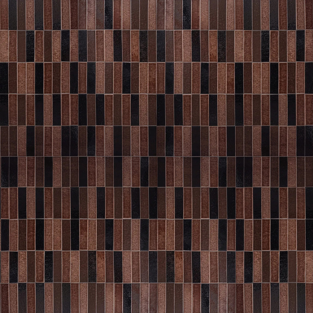 Sodai Partenope Cacao