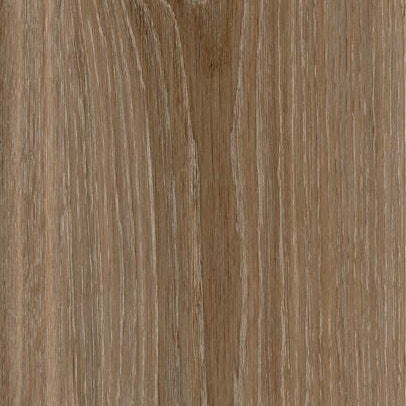 Woodbreak — Energieker